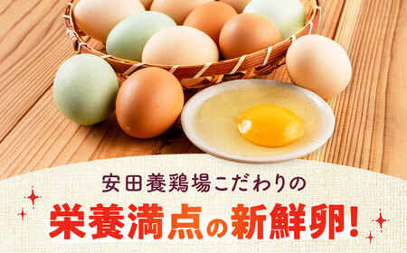 【全6回定期便】安田養鶏場の卵 アトムくん 30個入り 横須賀市 産地直送 割れ保証付き たまご 黄身 濃厚 卵 玉子 タマゴ 鶏卵 【安田養鶏場】[AKHN010]