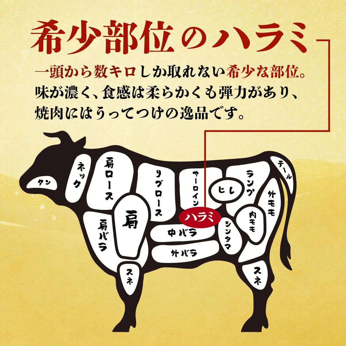 ヤマジュウの特製タレ漬け！牛ハラミ肉１ｋｇ FN-Limited-PR