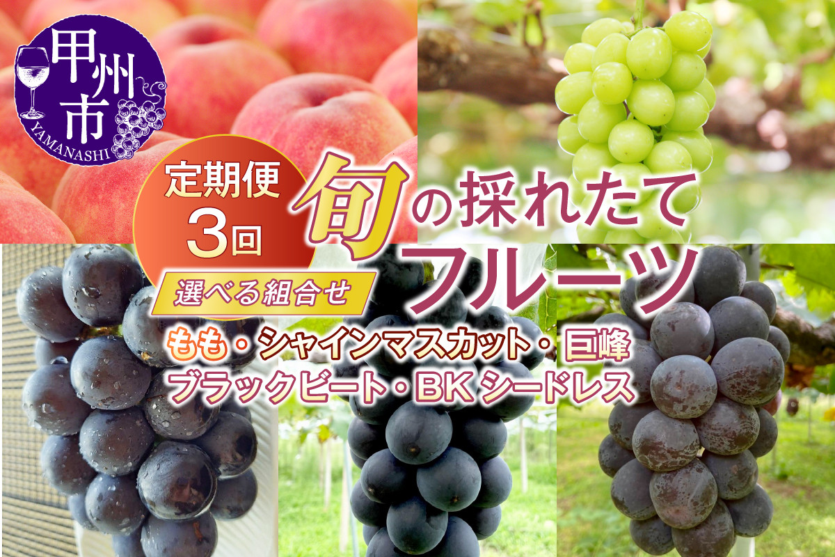 
            《選べる組み合わせ》【定期便】旬の採れたて3回定期便（桃・巨峰/ブラックビート/BKシ―ドレス・シャインマスカット）【2025年発送】（HO） 【桃 もも モモ 巨峰 ブラックビート BKシ―ドレス シャインマスカット 葡萄 ぶどう ブドウ 令和7年発送 期間限定 山梨県産 甲州市 フルーツ 果物】
          