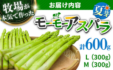【先行予約】モーモーアスパラ夏芽 L・M 600g（6月中旬より順次発送） 食べやすい太さの2種セット 600g 日田市 / 有限会社本川牧場[ARAI037]