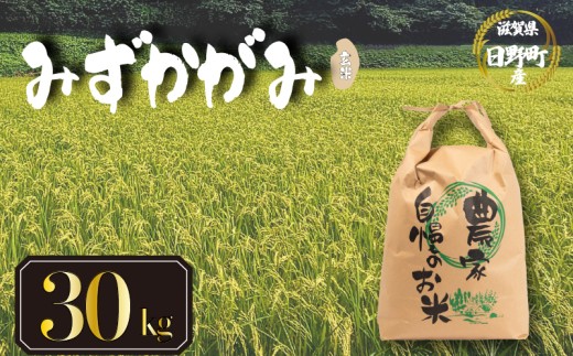 【 令和8年産 米 30kg 】 みずかがみ 米 玄米 国産 滋賀県 日野町 農家直送 お米 おこめ こめ 産地直送 ふるさと納税