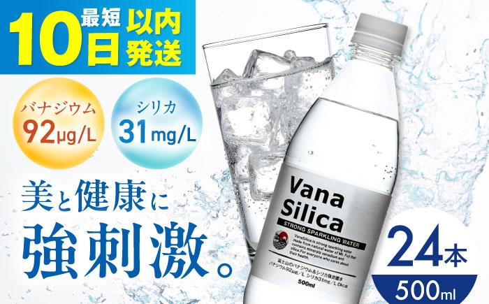 
            【10日以内発送】VanaSilica（バナシリカ） 富士山のバナジウム＆シリカ 強炭酸水 500ml 24本 炭酸 強炭酸 炭酸水 大容量 ハイボール 割り材 割材 ペットボトル お水 飲料 飲料水 ドリンク 飲み物 備蓄 災害 大阪府高槻市/クリックル株式会社 [AOEH009]
          