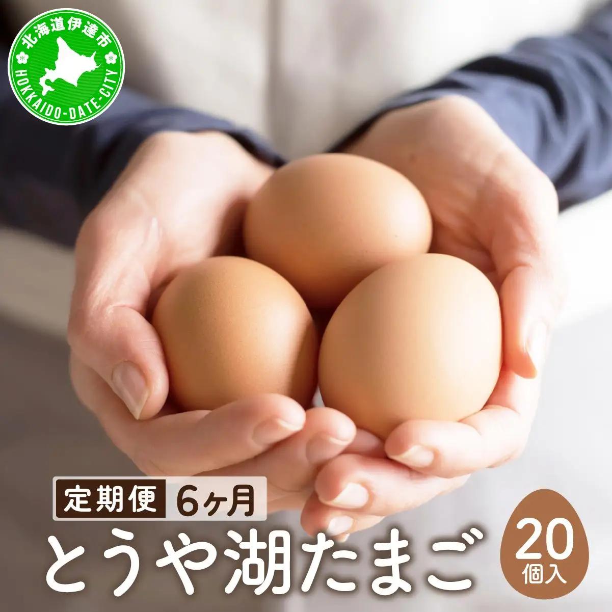 【6ヵ月 定期便】 北海道 伊達市 とうや湖 卵  20個 入り たまご