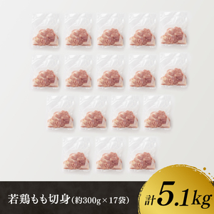 鶏肉 企業努力により実現！若鶏もも切身計5.1kg(4.8kg+300g) 小分け