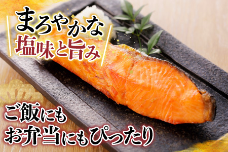 [個包装]塩さばフィレ1枚×8P＆塩銀鮭切り身1切×10P A-09042