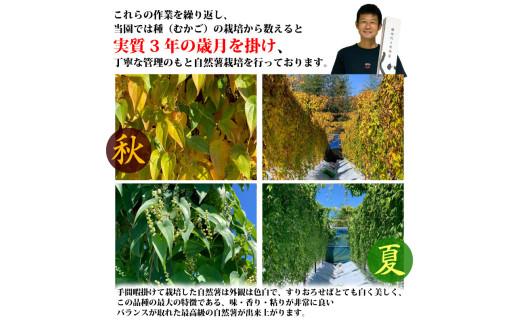 074-8　【R7年12月上旬からの発送】　丁子屋が選んだ 自然薯 台地のご馳走 2kg 新鮮 健康 長寿 とろろ 静岡県 牧之原市 ヤマゴ増田製茶