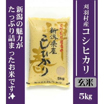ふるさと納税 刈羽村 【玄米】刈羽村産こしひかり5kg