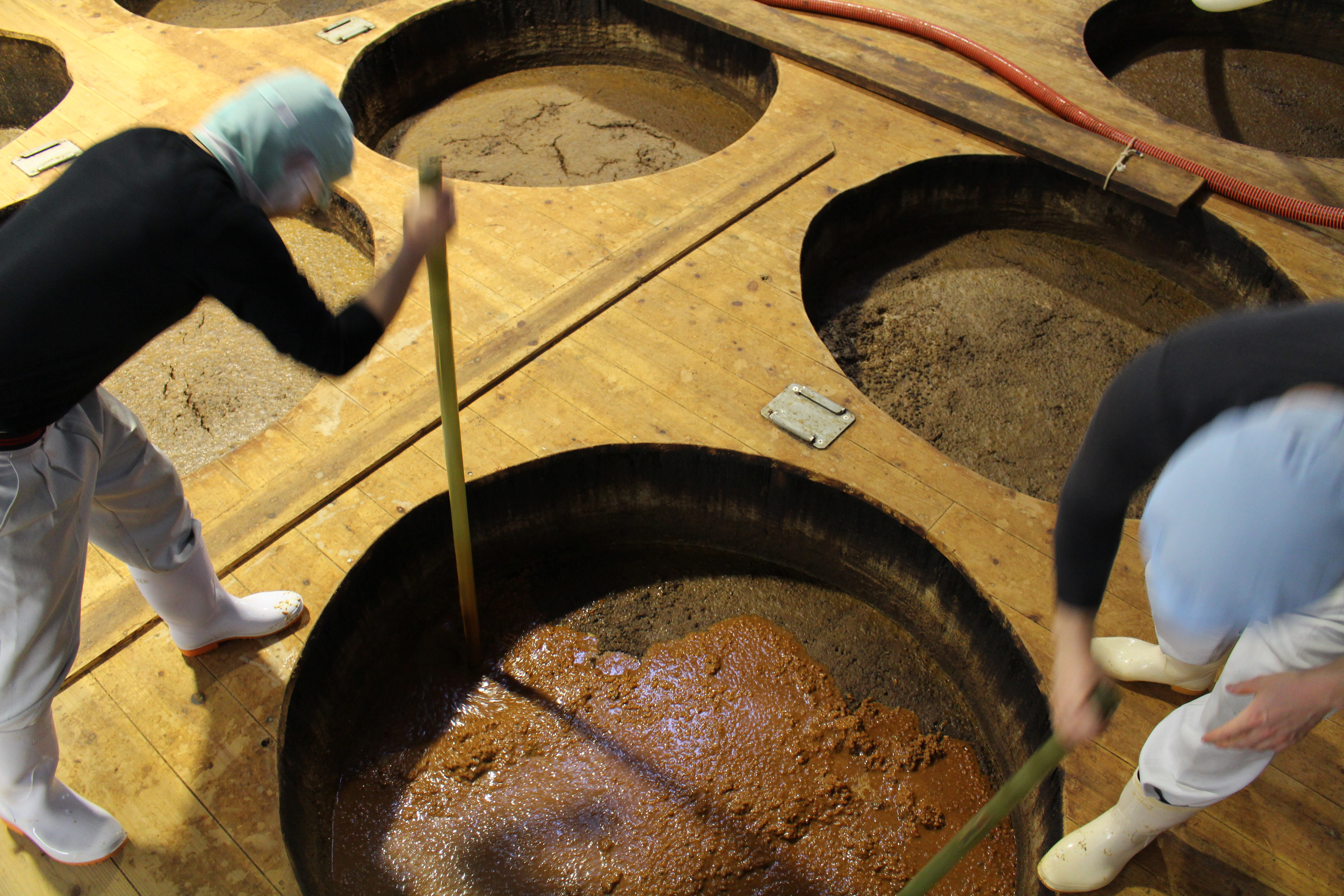 木桶には乳酸菌や酵母菌が棲み着いて、蔵独自の香りや味を引き出し、旨味がぐんと深まります。