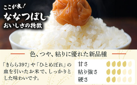 令和7年産 ＜定期便3回＞ 山下商店ななつぼし 5kg | 北海道岩見沢産 ななつぼし 米 白米 お米 岩見沢市【a164-007】
