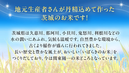 令和6年産 茨城県産 精米 特別栽培米 コシヒカリ 10kg （5kg×2袋） 新米 白米 こしひかり 米 コメ こめ 単一米 限定 茨城県産 国産 美味しい お米 おこめ おコメ