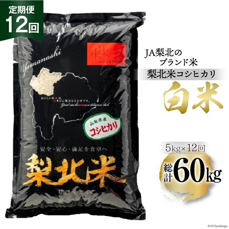 【ふるさと納税】 米 【定期便 12回 】梨北米 コシヒカリ 5kg 12回 総計 60kg こしひかり コシヒカリ お米 おこめ こめ コメ 精米 61キロ ご飯 ごはん 白米 お弁当 国産 JA 梨北 山梨 [梨北農業協同組合 山梨県 韮崎市 20743674]