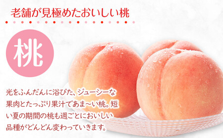 【2025年6月下旬より順次配送！】特秀品！絶品「桃」約4kg(12～16玉) |フルーツ 桃 旬 桃 美味しい 新鮮 桃 フルーツ 詰合せ 桃 セット フルーツ 人気 フルーツ 厳選 桃 おすすめ 