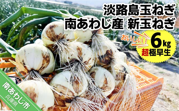 
淡路島玉ねぎ　南あわじ産　新玉ねぎ（超極早生）６kg　期間限定！
