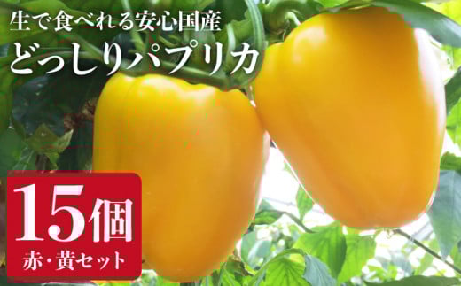 糸島産 肉厚 パプリカ 15個 福岡県  糸島市 / シーブ [AHC032] 野菜 ピーマン