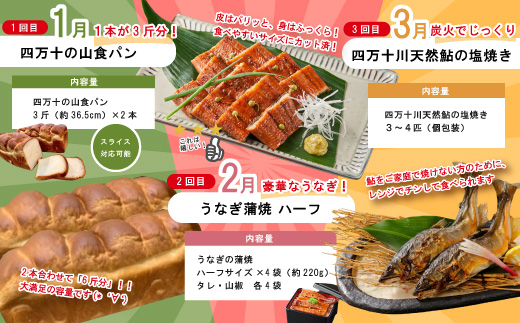 【 年末限定 】 8回 定期便 四万十 人気グルメ お楽しみ定期便 しまんと ふるさと定期便 10万円 Bコース 今だけ 鰻 牛肉 豚肉 パン 魚 タタキ カツオ 鰹 うどん 麺 鮎 天然鮎 ケーキ