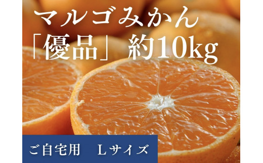 マルゴみかん（温州みかん） 優品 約10ｋｇ （Lサイズ） JA伊勢 ／ 家庭用 送料無料 産地直送 フルーツ 果物 ミカン 先行予約 三重県 南伊勢町