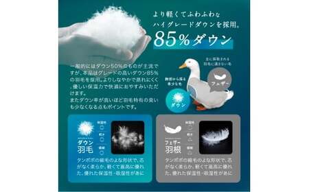 日本製 ダウンケット 85%ダウン 0.3kg充填 シングル 羽毛肌掛け布団 (アイボリー／ブラウン／グレー) 寝具 羽毛布団