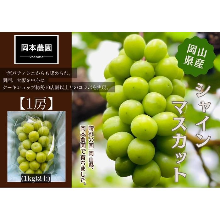 【ふるさと納税】シャインマスカット　1房1.0kg | フルーツ 果物 くだもの 葡萄 ブドウ ぶどう シャインマスカット マスカット ギフト 贈答用 プレゼント 岡山 岡山県産 国産 おすすめ 人気 みずみずしい フレッシュ 温室栽培 晴れの国おかやま 果物大国 彩美菜果
