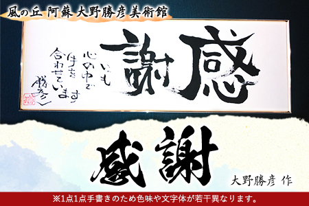 大野勝彦 短冊額『感謝』文字 風の丘阿蘇大野勝彦美術館《60日以内に出荷予定(土日祝除く)》美術館 詩