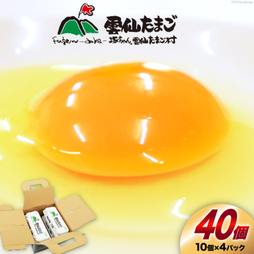 BI024 雲仙たまごLサイズ  40個 (10個入り×4パック) (37個＋割れ補償3個入り) [ 卵 たまご 生卵 鶏卵 赤卵 玉子 新鮮 塚ちゃん雲仙たまご村 長崎県 島原市 ]
