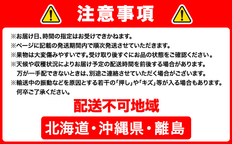 【2026年先行予約】あたご梨 約1.7kg (2玉) 化粧箱入り 株式会社山博《11月下旬-12月下旬頃出荷》岡山県 笠岡市 なし 梨 ナシ 愛宕梨 果物 大玉 岡山県産 国産 送料無料【配送不可地