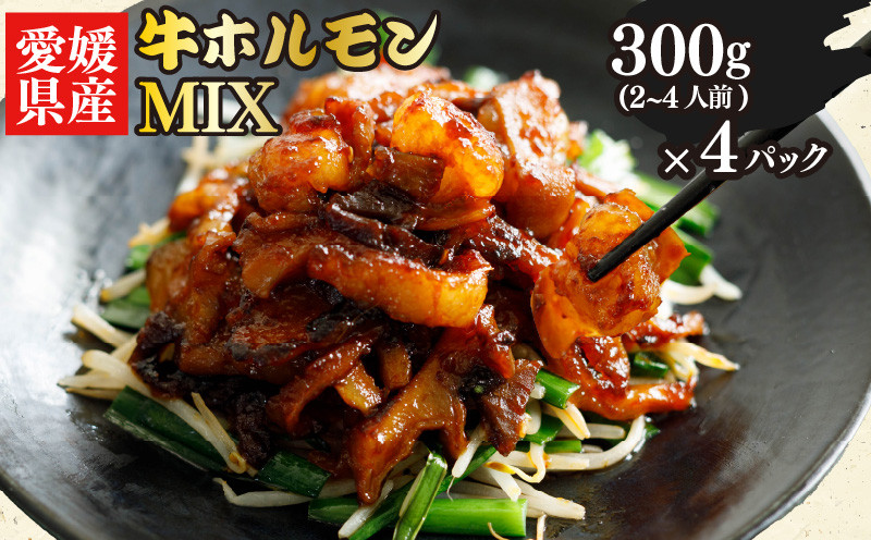 
                  愛媛県産 牛 ホルモン MIX 300g ×4パック ミックス ホルモン ピリ辛 希少 小分け 牛 ホルモン 部位 ホルモン焼き 料理 焼き 愛媛県 松山市
                
