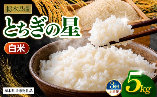 【先行予約】【栃木県共通返礼品】【定期3回】とちぎの星（白米）約 5kg ｜とちぎの星 米 白米 おいしい お米 こめ おこめ 白米 精米 国産 ごはん ご飯 白飯 米 おこめ 白米 精米ゴハン ランキング 人気  ふるさと 納税 栃木県 那珂川町 送料無料