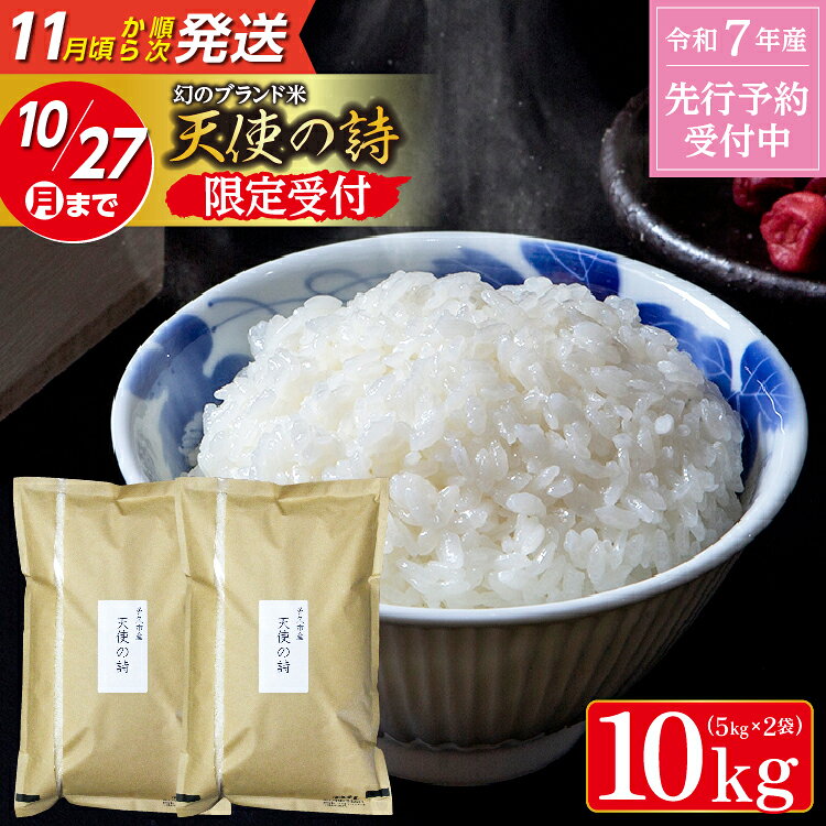 【ふるさと納税】＼さがびよりの母系品種／【令和7年産 新米 希少米】 天使の詩 5kg×2袋 計10kg さがびより の母で生産が難しいお米 | ふるさと納税 米 ふるさと納税 新米 令和7年産 お米 白米 10kg 5kg ふるさと 人気 令和7年 こめ コメ ごはん _c-128