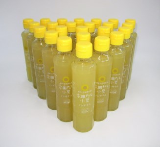 業務用・お土産用ドレッシング24本セット（宗田だし小夏）～どかんっ！と豪快工場直送～ 【R00769】