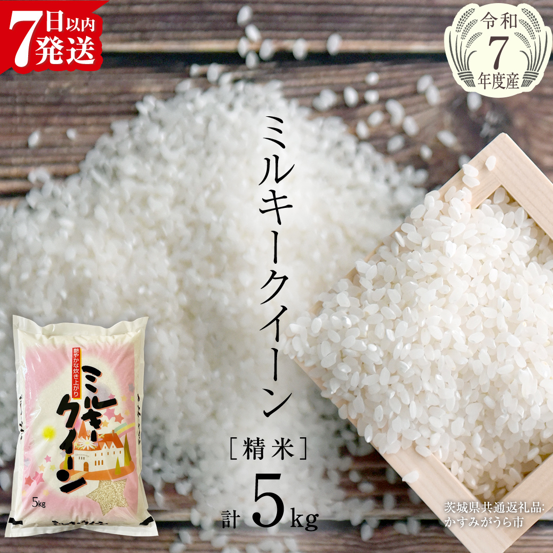 【令和7年産】 ミルキークイーン 精米 5kg（5kg×1袋）（茨城県共通返礼品 かすみがうら市産） 米 ごはん もっちり 甘い コメ お米 白米 銘柄米 [EX016sa]