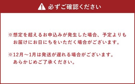【令和7年産米】そうべい 北海道ゆめぴりか 計10kg お米 ゆめぴりか 【7営業日以内発送】