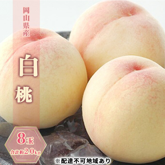【ふるさと納税】桃 2026年 先行予約 白桃 8玉 合計約2.0kg もも モモ 岡山県産 国産 フルーツ 果物 ギフト　お届け：2026年7月中旬～2026年7月下旬