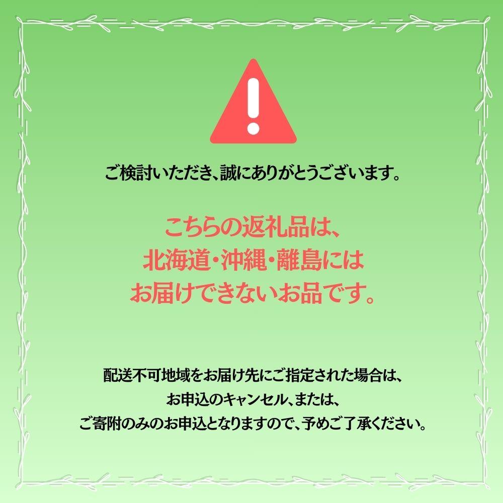 ＜先行予約＞【ギフト】岡山県産 冬のシャインマスカット【2026年12月発送】 1房(600g以上) [025-a032]