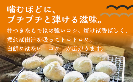 玄米もち 24個（6個入り×4パック） | 玄米餅 おもち