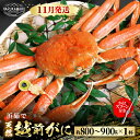 【ふるさと納税】≪浜茹で≫ 地物！天然！越前がに 生の状態で約800g～900g × 1杯 かにスプーン付き はるか丸厳選！ 【冷蔵 本場の味 ボイル 越前ガニ 蟹 茹で ずわいがに ズワイガニ】[m36-x003_11]