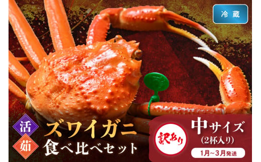 訳あり【蟹の匠 魚政】京丹後産 ズワイガニ 食べ比べセット〈活×茹〉中サイズ2杯入り(1月～3月発送）