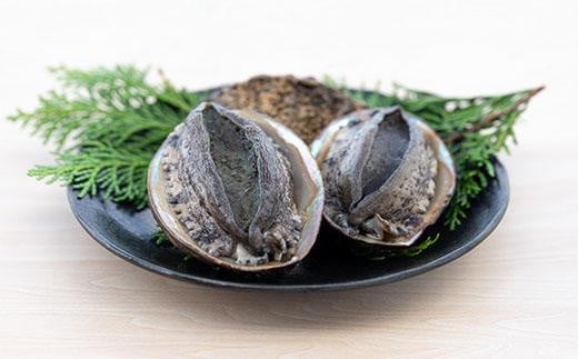 【数量限定】活黒あわび（養殖）　約80g～90g×4枚 海鮮 魚介 魚介類 鮑 あわび 黒鮑 黒あわび 身厚 厳選 柔らかい 極上品 アワビ 鮑 黒アワビ 国産 京都 丹後 京丹後 養殖 日本海 肉厚 養殖あわび コリコリ やわらか 刺身 活あわび 高級食材 送料無料　NA00002