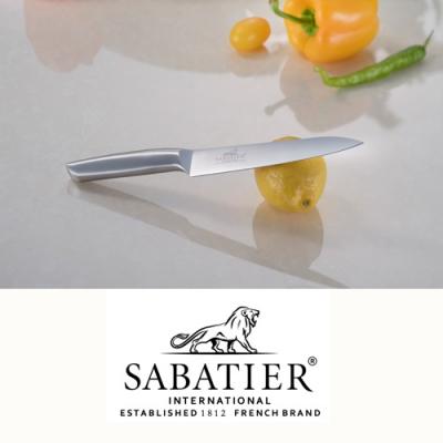 ふるさと納税 関市 SABATIER オールステンレスキッチンナイフ2点セット　H15-18　 |  | 02