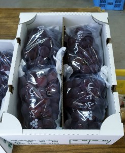 和歌山県産 ピオーネ 4房入り | 産地直送 ブドウ ぶどう 果物 フルーツ　※離島への配送不可　2025年8月下旬～9月中旬頃に順次発送予定