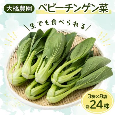 ふるさと納税 安城市 大橋農園のベビーチンゲン菜:3株入り×8袋