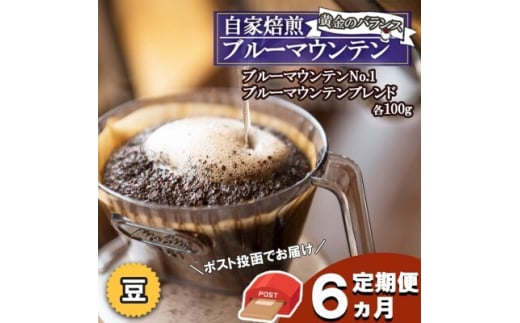 定期便 6ヶ月 黄金のバランス ブルーマウンテン (豆)【ポスト投函】 2種 各100g