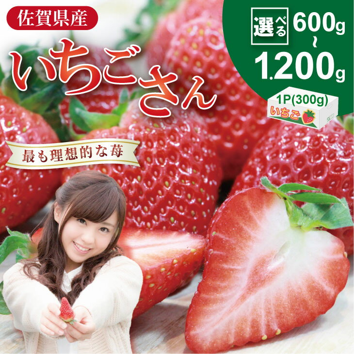 【ふるさと納税】【先行予約令和8年2月配送開始】いちごさん （600g・900g・1200g） ふるかわ農園 農家 直送品 果物 くだもの フルーツ 人気 ランキング 高評価 選べる 苺 イチゴ 佐賀 送料無料 1パック 300g【A075-017】