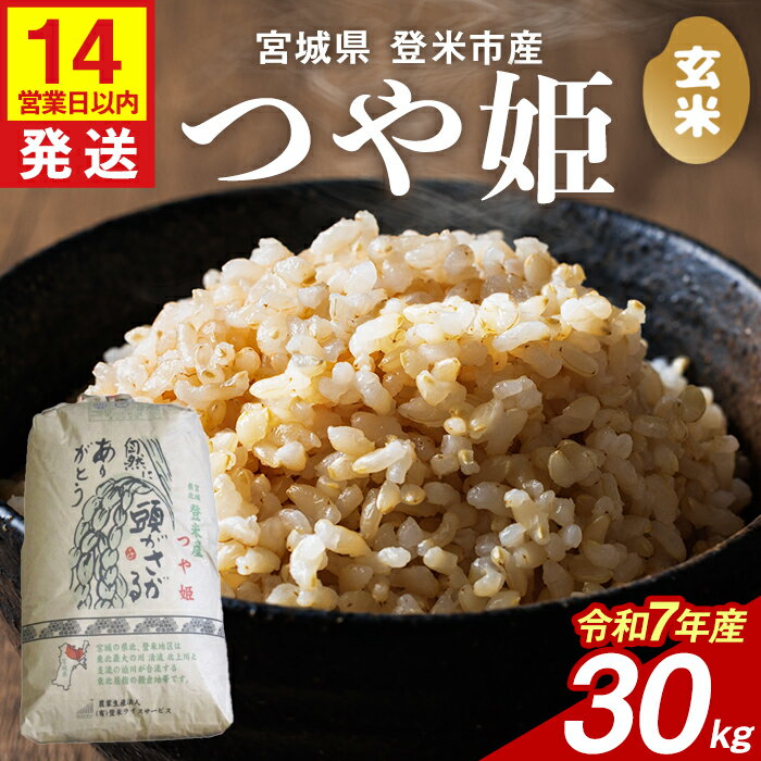 【ふるさと納税】【14営業日以内に発送予定】≪令和7年産≫ つや姫 玄米 30kg 登米市産 お米 おこめ 米 コメ ご飯 ごはん おにぎり お弁当 【登米ライスサービス株式会社】tm143