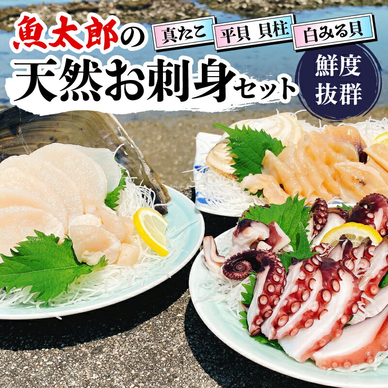 【ふるさと納税】 鮮度抜群！ 魚太郎 の 天然 お刺身 セット 真たこ 平貝 白みる貝 鮮魚 魚太郎 たこ焼き バターソテー 貝 かい たいらがい タイラギ 刺身 愛知県 南知多町