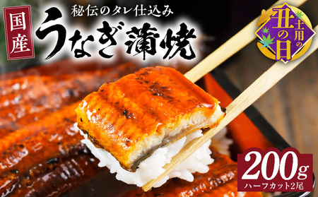 【土用の丑の日までにお届け】国産うなぎ ハーフカット 合計 200g 秘伝のたれ 蒲焼 訳あり 鰻 ウナギ 無頭 炭火焼き 備長炭 手焼き 先行予約