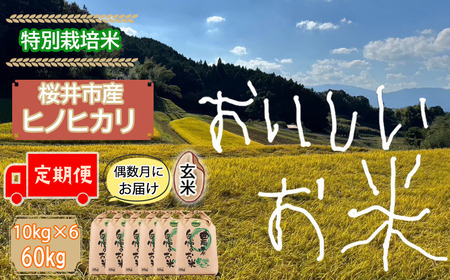 M-JEC1.【玄米】桜井市高家産 ヒノヒカリ 10kg×6回【偶数月のお届け】