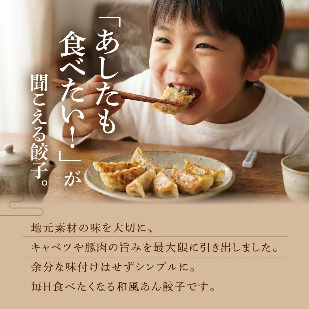 夏目家の『和風あん餃子』50個と『丸もち餃子』50個のガッツリ100個食べくらべセット                                                         