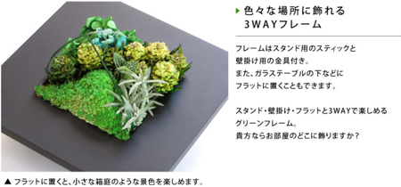 グリーンフレーム２L 花 お花 プリザーブドフラワー ギフト プレゼント お祝い 誕生日 お供え アレンジ インテリア 東京都 墨田区 黒フレーム