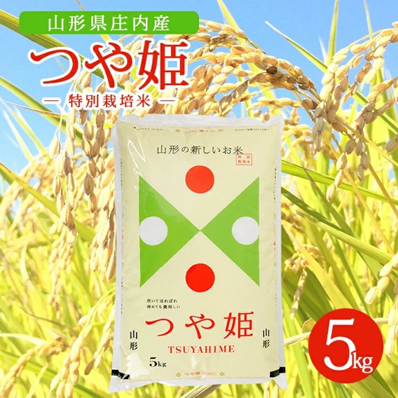 SB0851　令和7年産【精米】特別栽培米 つや姫　5kg×1袋  AK