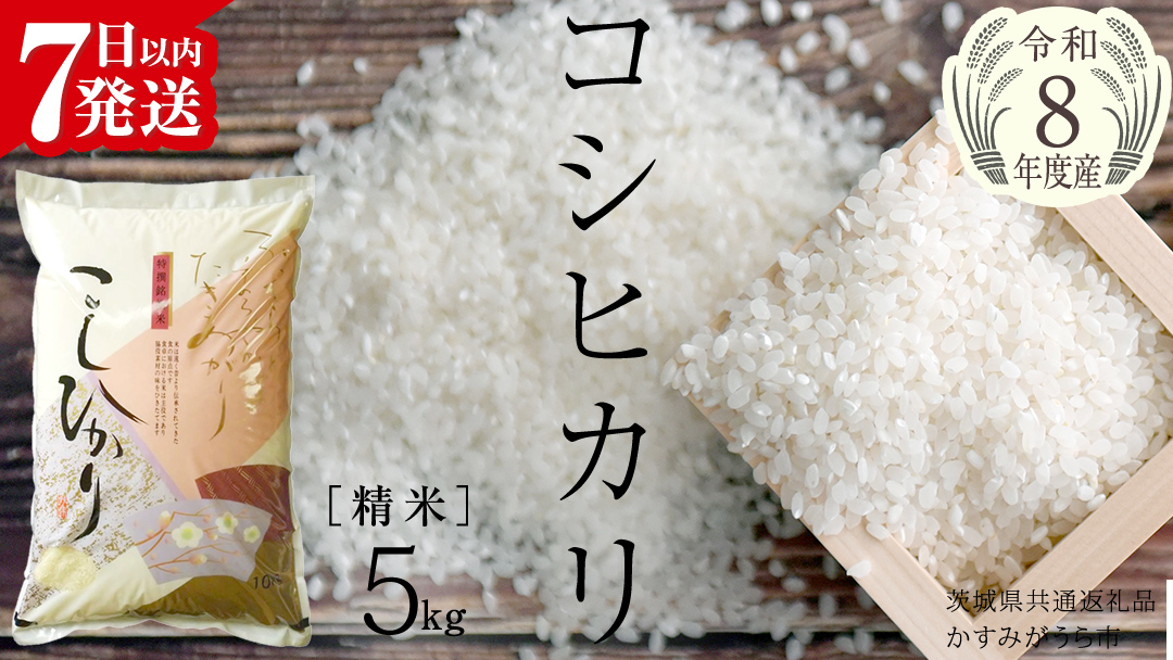 【新米】 令和8年産 コシヒカリ 精米 5kg ( 5kg × 1袋 ) (茨城県共通返礼品) こしひかり スピード発送 早い 米 ごはん もっちり 甘い コメ お米 白米 銘柄米 茨城県 桜川市 [